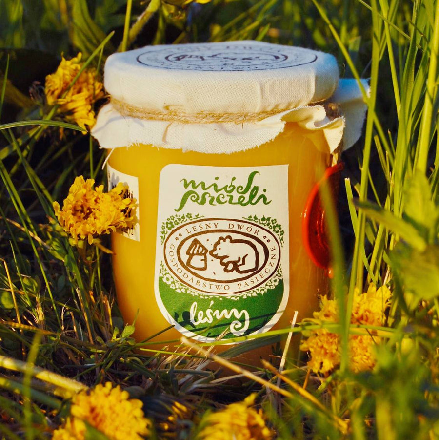 Słoik miodu z mniszka lekarskiego wśród kwiatów mniszka