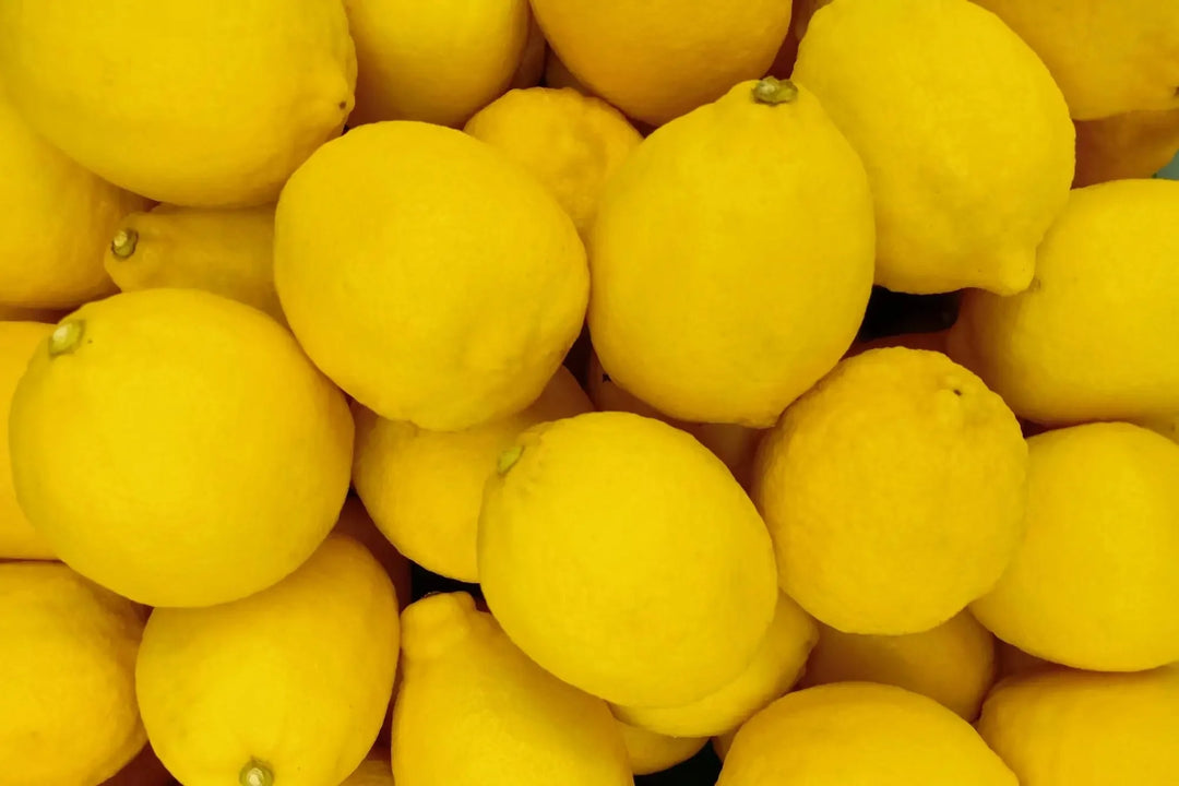 Cytryny, czyli jeden ze składników przepisu na lemoniadę z miodem. 