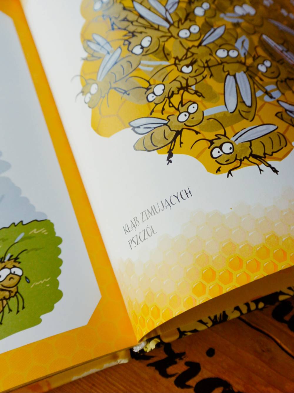 książka pszczoły miodne i niemiodne